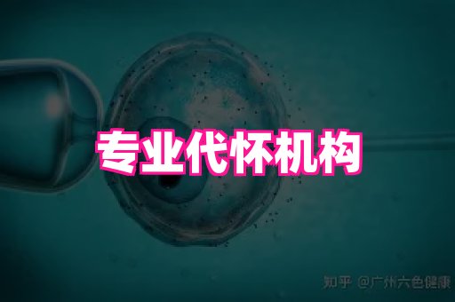 nub孕网 2